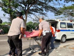 Polres Lamongan Evakuasi Pengendara Motor yang Alami Laka Vs Truk di Jalur Nasional Babat-Lamongan